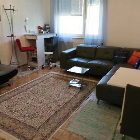 דירות זלצבורג Citty Aparttment מראה חיצוני תמונה